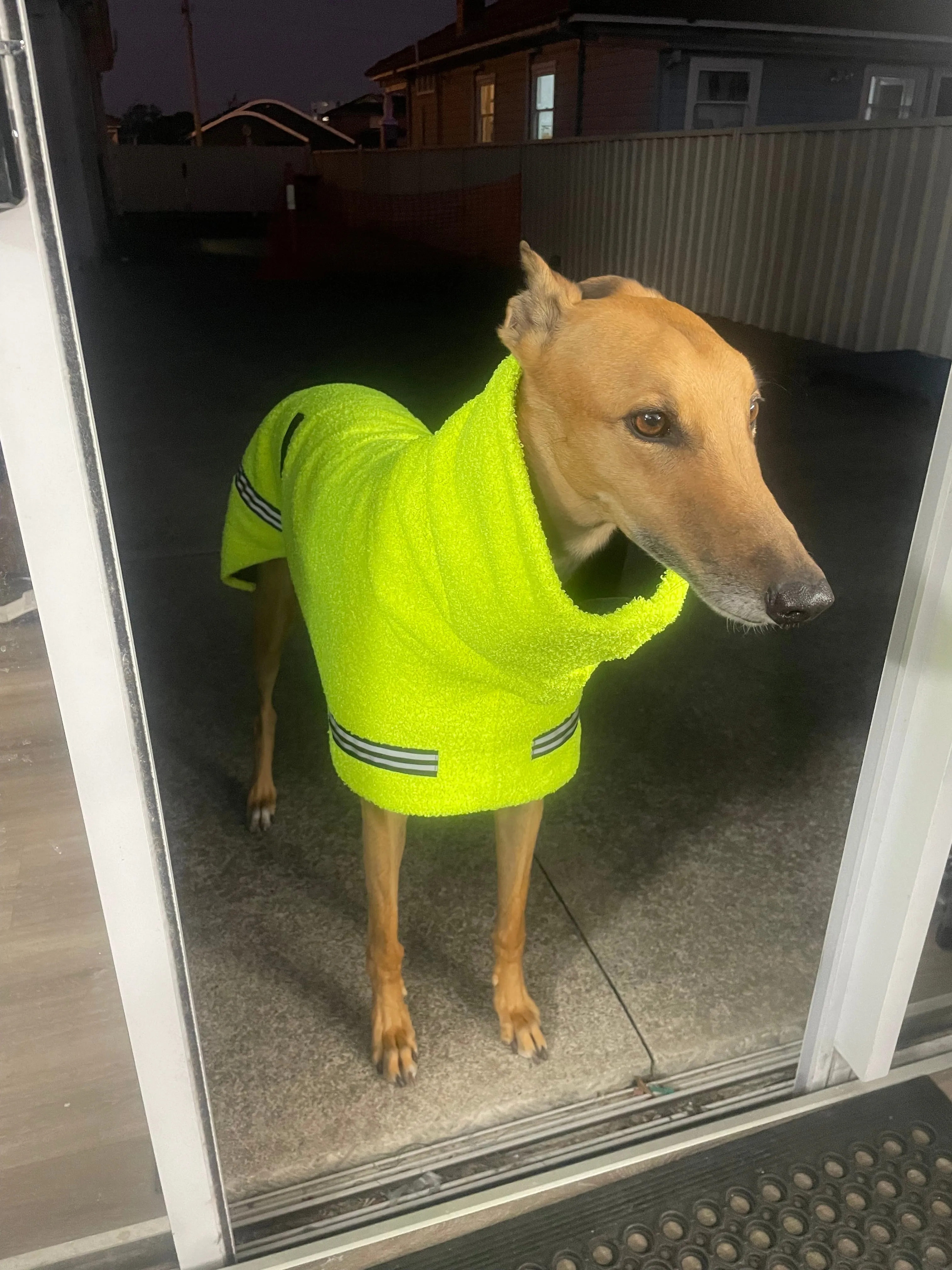 Flouro with reflective strips hi vis Teddy fleece deluxe style greyhound coat with snuggly wide neck roll