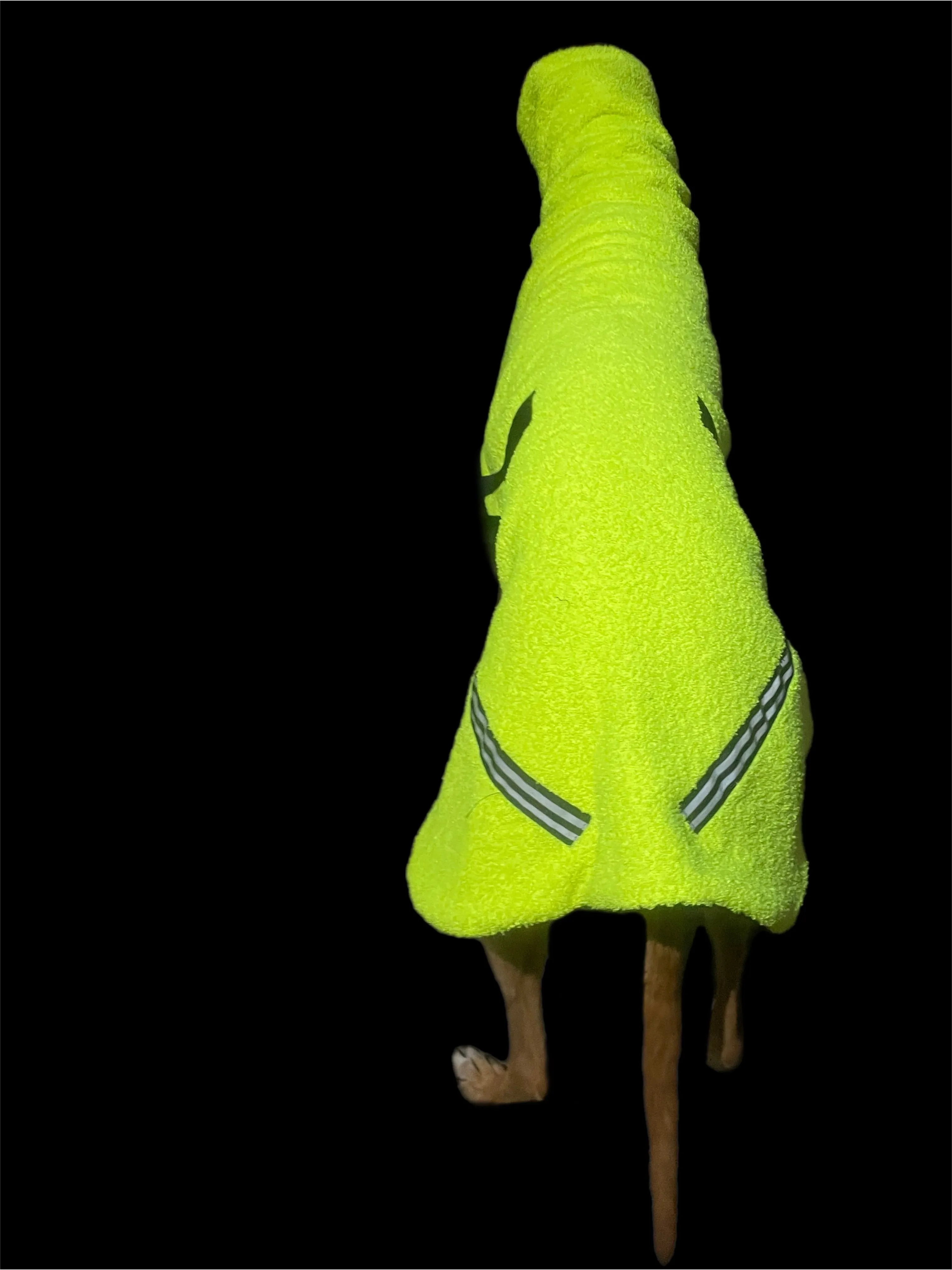 Flouro with reflective strips hi vis Teddy fleece deluxe style greyhound coat with snuggly wide neck roll