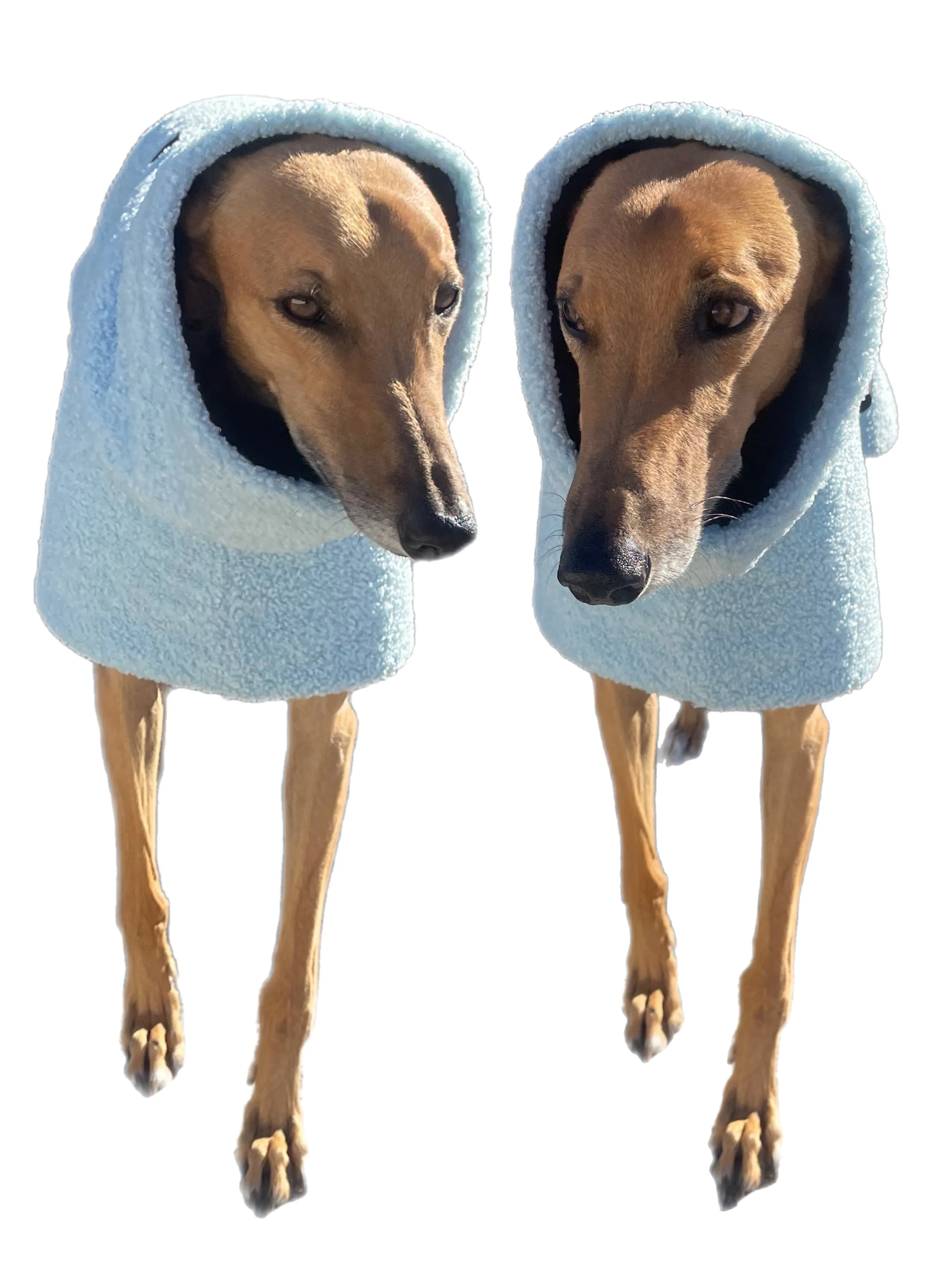 Ice blue Teddy fleece extra thick deluxe style greyhound coat with snuggly wide neck roll