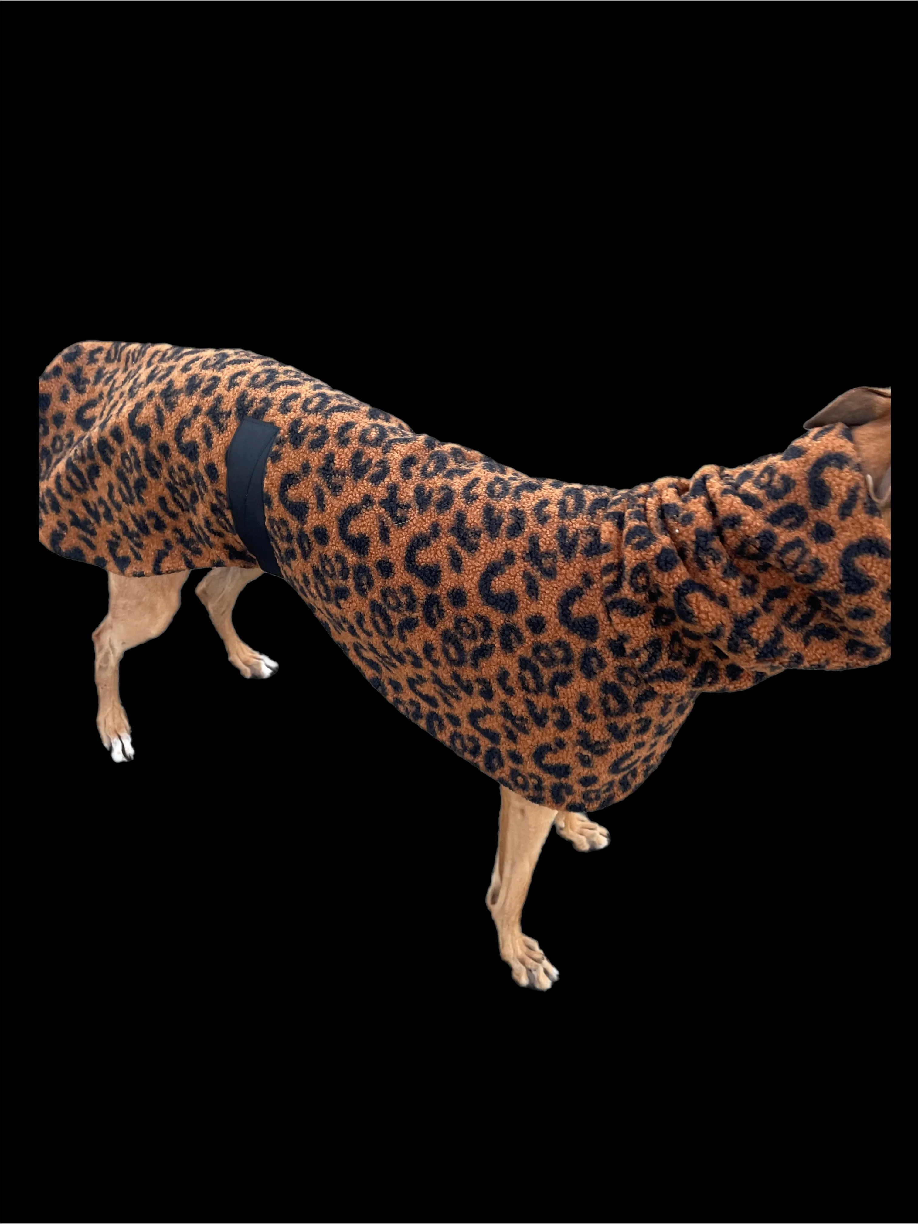 Leopard print Teddy fleece deluxe style greyhound coat with snuggly wide neck roll