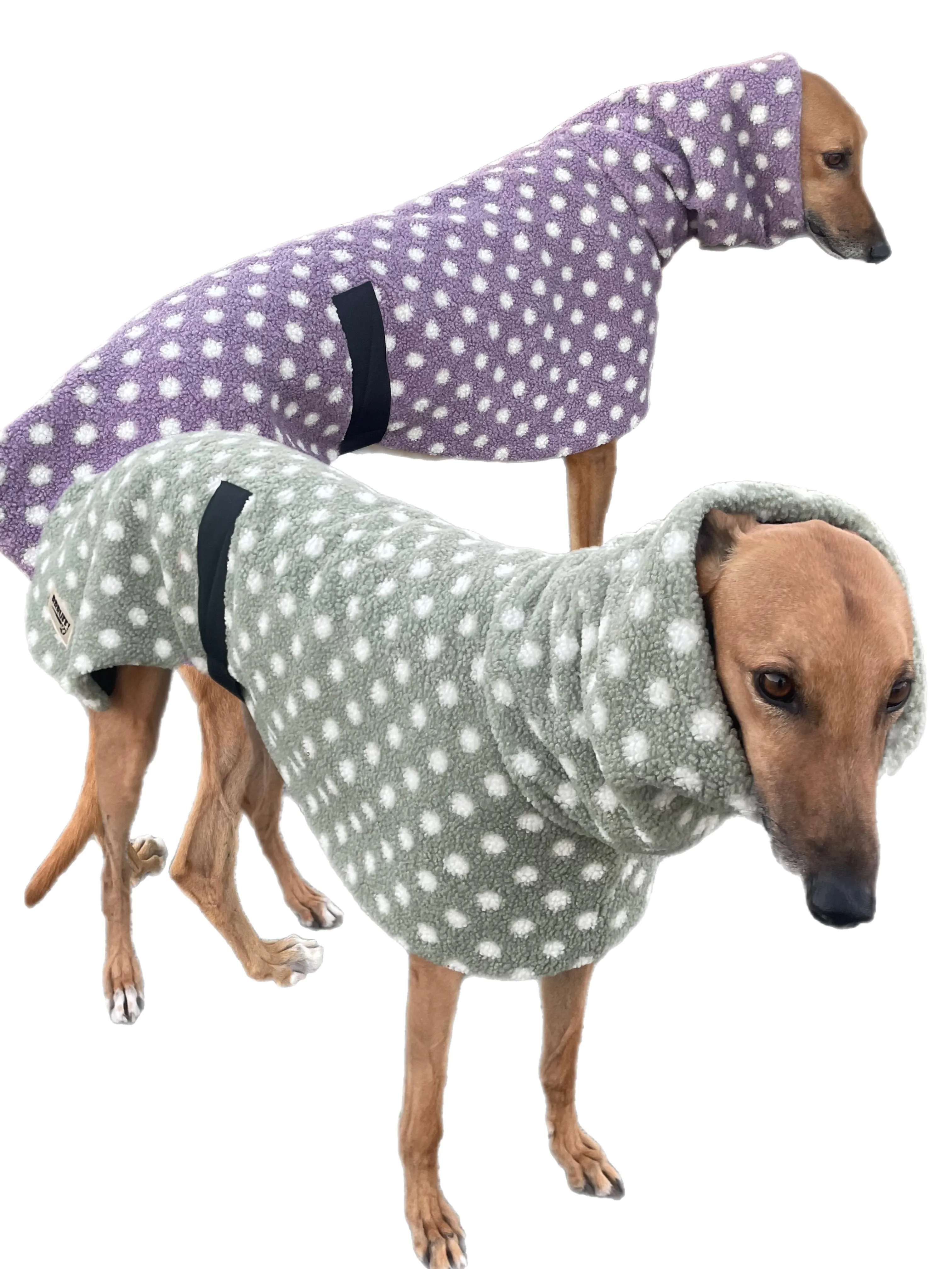 Purple Polka dot print Teddy fleece deluxe style greyhound coat with snuggly wide neck roll